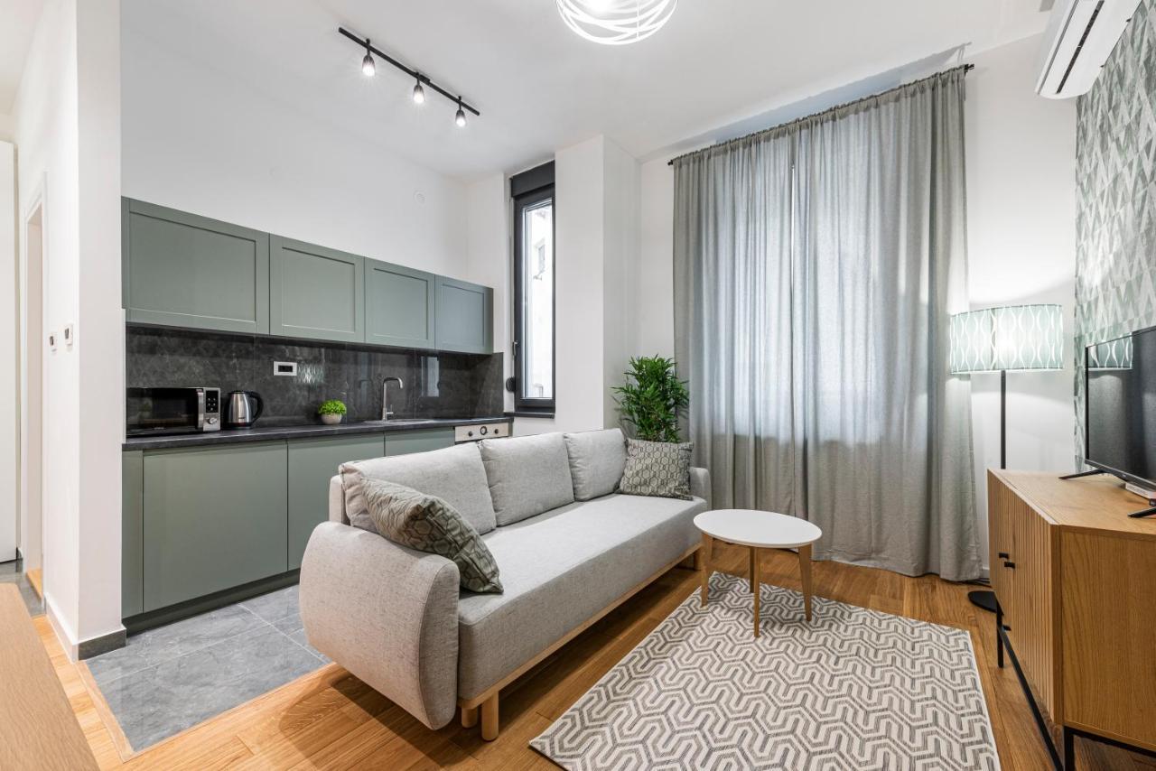 Vertigo One Bedroom Apartment - Free Private Parking-Fast Wi-Fi Novi Sad Exteriör bild