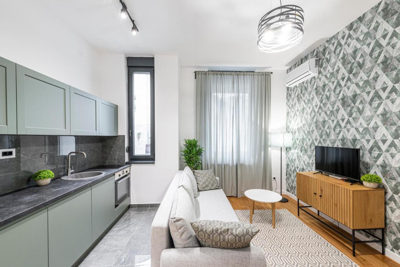 Vertigo One Bedroom Apartment - Free Private Parking-Fast Wi-Fi Novi Sad Exteriör bild